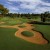 Arizona December Specials