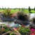Augusta Ranch Golf Club Announces 2012 Summer Golf Pass